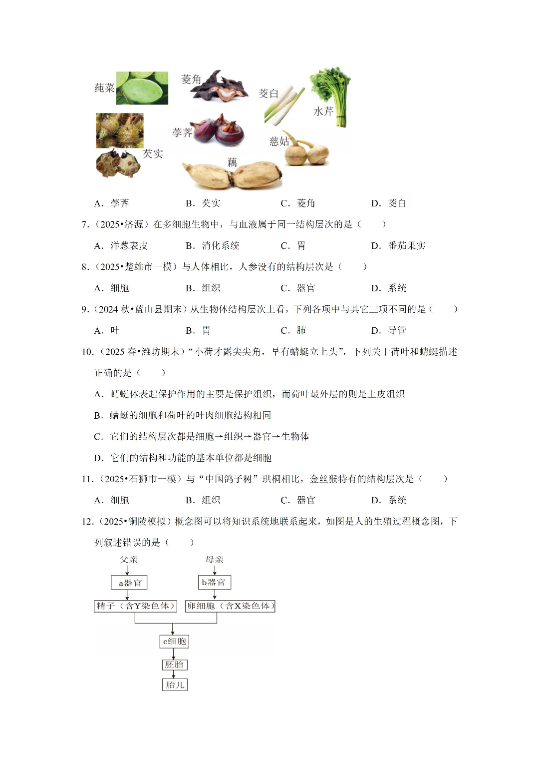 八下人教版 生物 中考复习体测试(电子版可打印) 第5张 八下人教版 生物 中考复习体测试(电子版可打印) 第5张