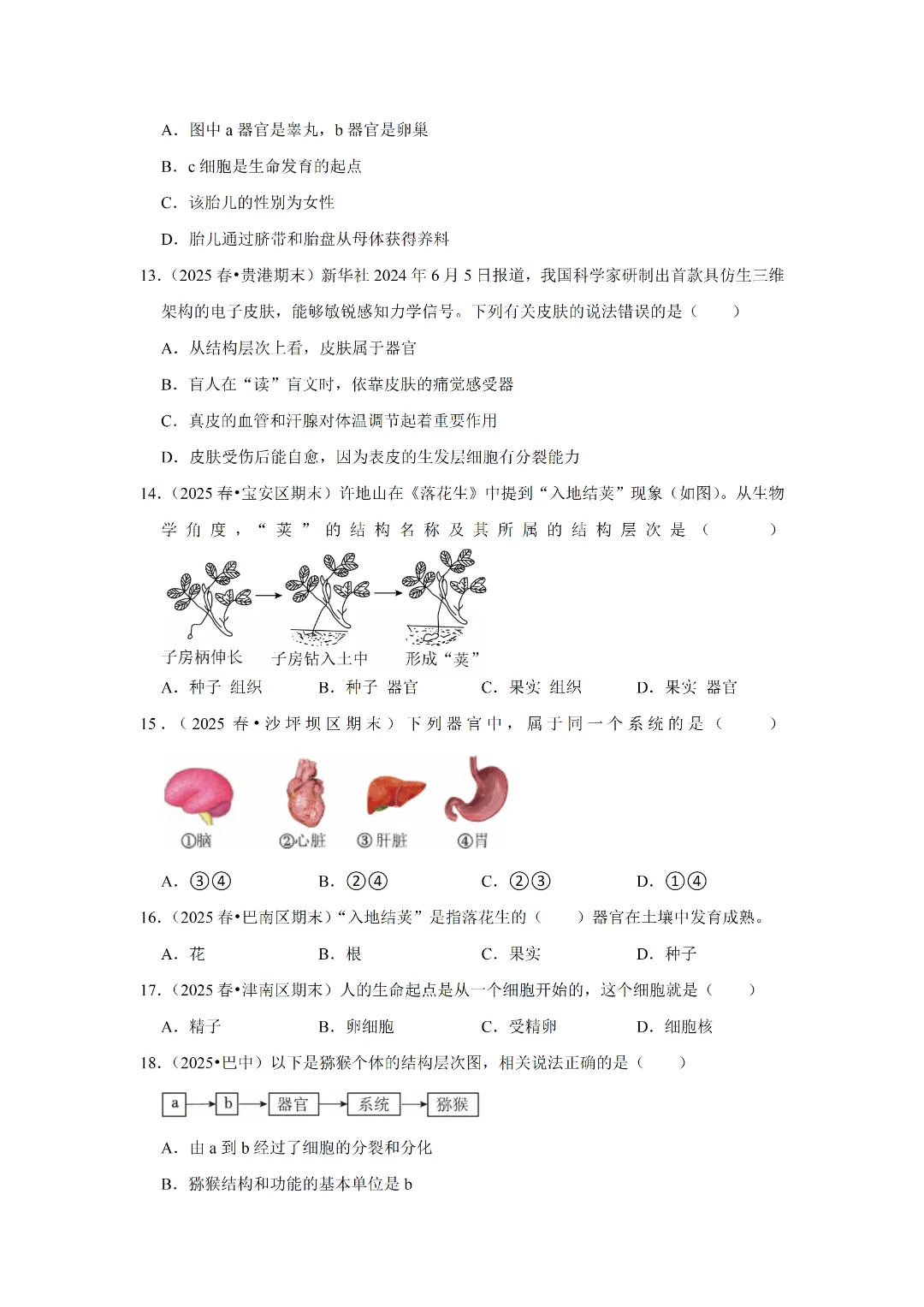 八下人教版 生物 中考复习体测试(电子版可打印) 第6张 八下人教版 生物 中考复习体测试(电子版可打印) 第6张