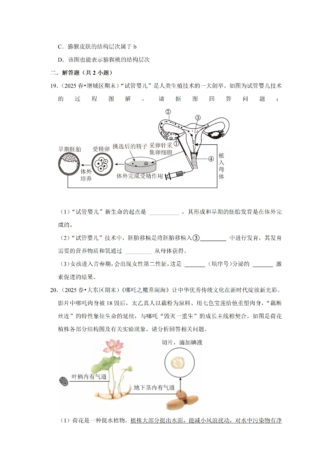 八下人教版 生物 中考复习体测试(电子版可打印) 第7张 八下人教版 生物 中考复习体测试(电子版可打印) 第7张