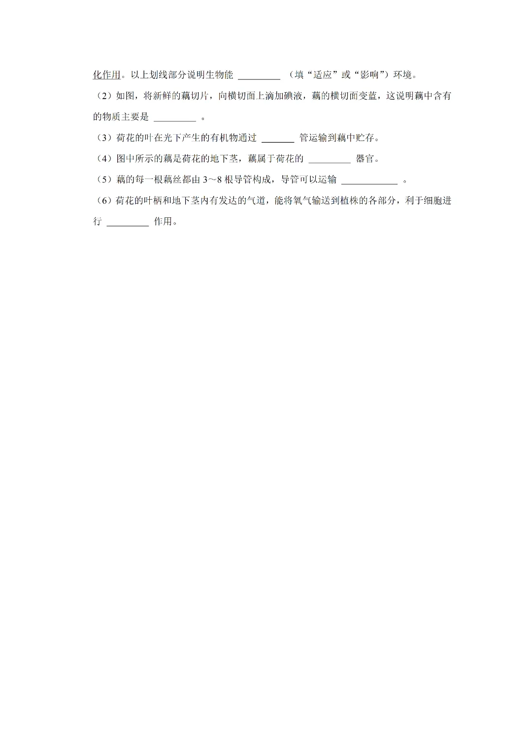 八下人教版 生物 中考复习体测试(电子版可打印) 第8张 八下人教版 生物 中考复习体测试(电子版可打印) 第8张