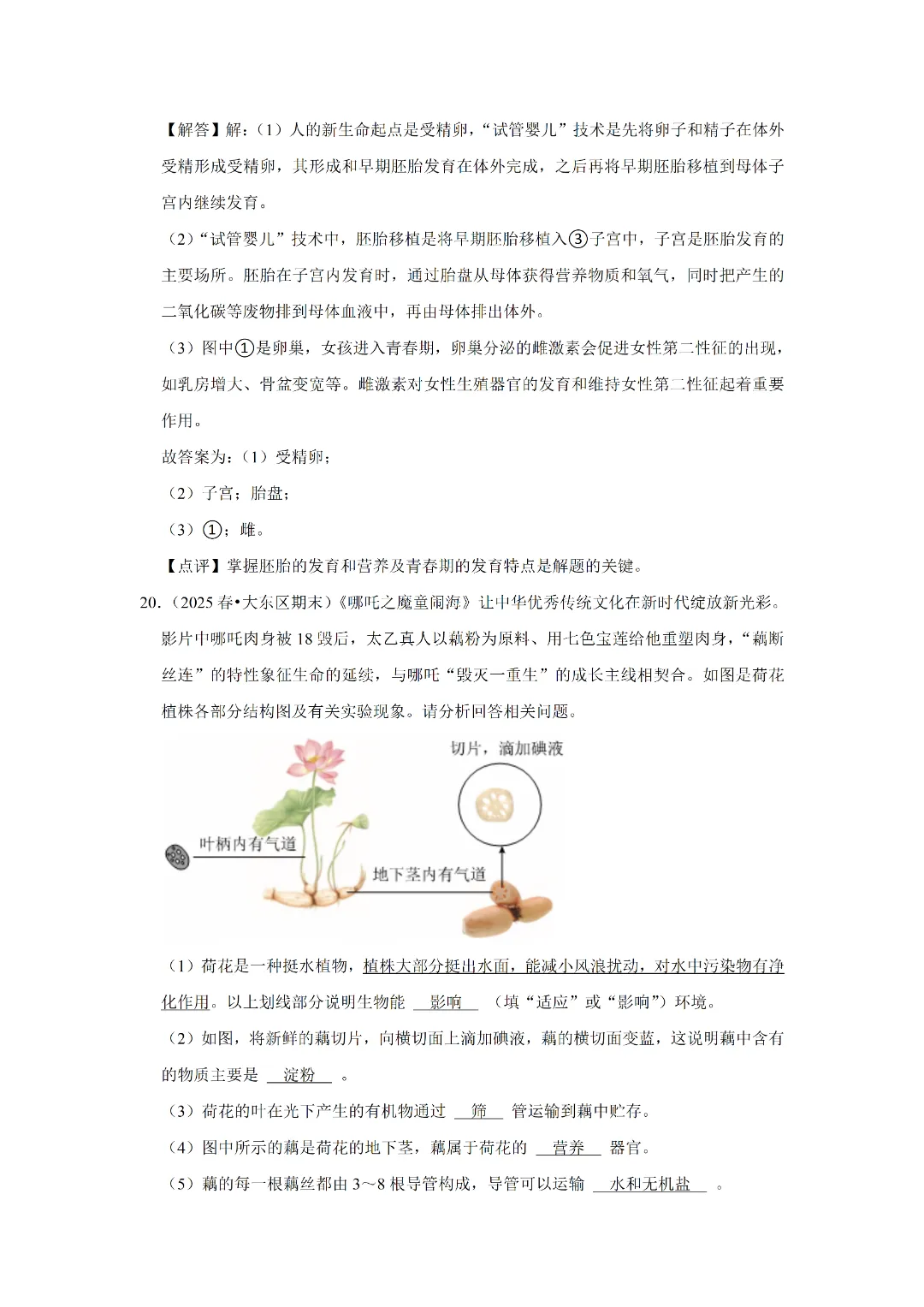 八下人教版 生物 中考复习体测试(电子版可打印) 第21张 八下人教版 生物 中考复习体测试(电子版可打印) 第21张