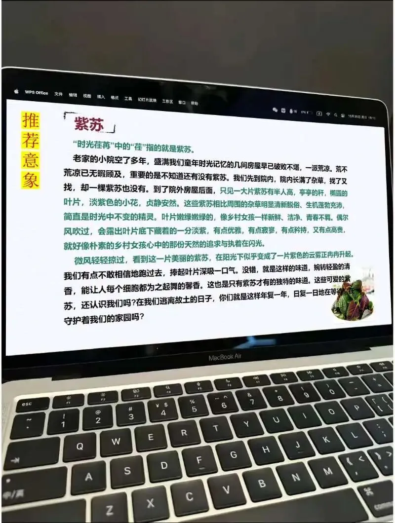 中考亲情类作文这样讲,思路很清晰!!! 第21张