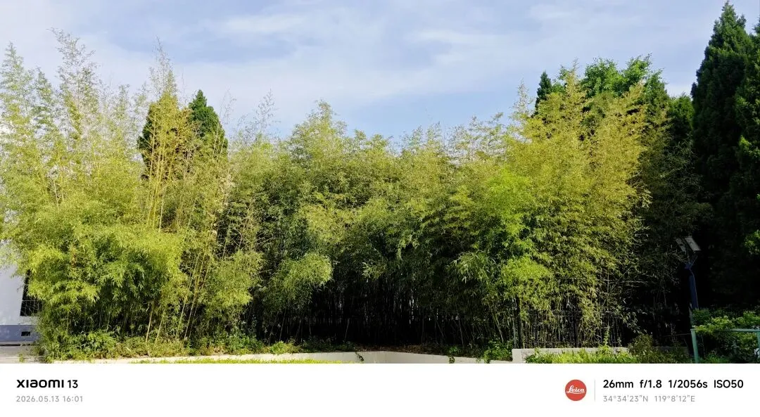 中考作文终极押题4篇:《那些灿烂的细节》《一波三折》《经历风雨铸就彩虹》《我的节奏》(附详解) 第4张