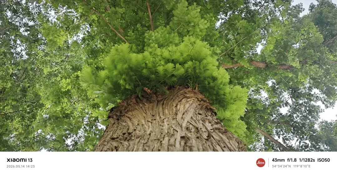 中考作文终极押题4篇:《那些灿烂的细节》《一波三折》《经历风雨铸就彩虹》《我的节奏》(附详解) 第5张