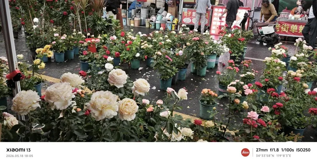 中考作文终极押题4篇:《那些灿烂的细节》《一波三折》《经历风雨铸就彩虹》《我的节奏》(附详解) 第8张