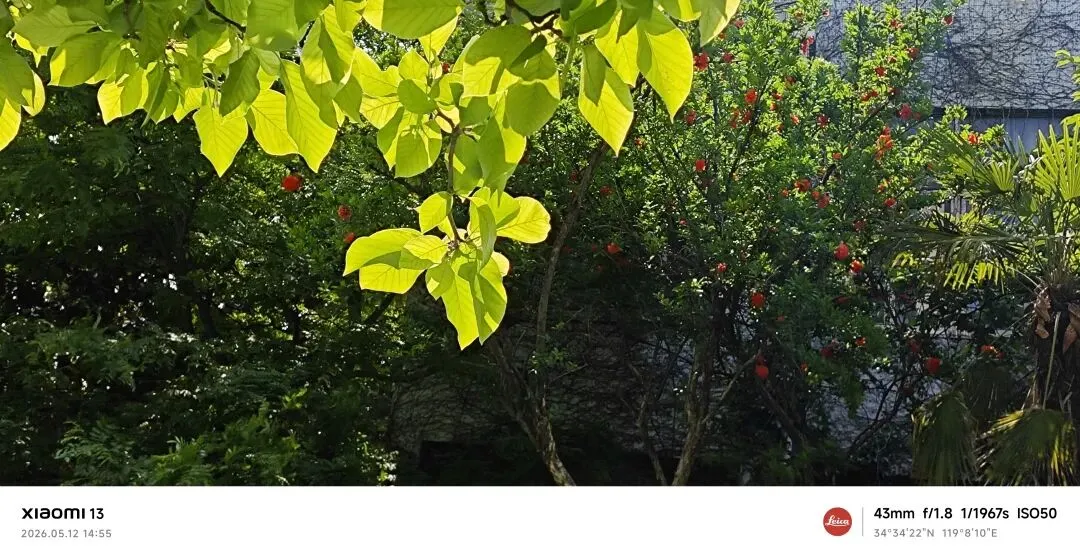 中考作文终极押题4篇:《那些灿烂的细节》《一波三折》《经历风雨铸就彩虹》《我的节奏》(附详解) 第9张