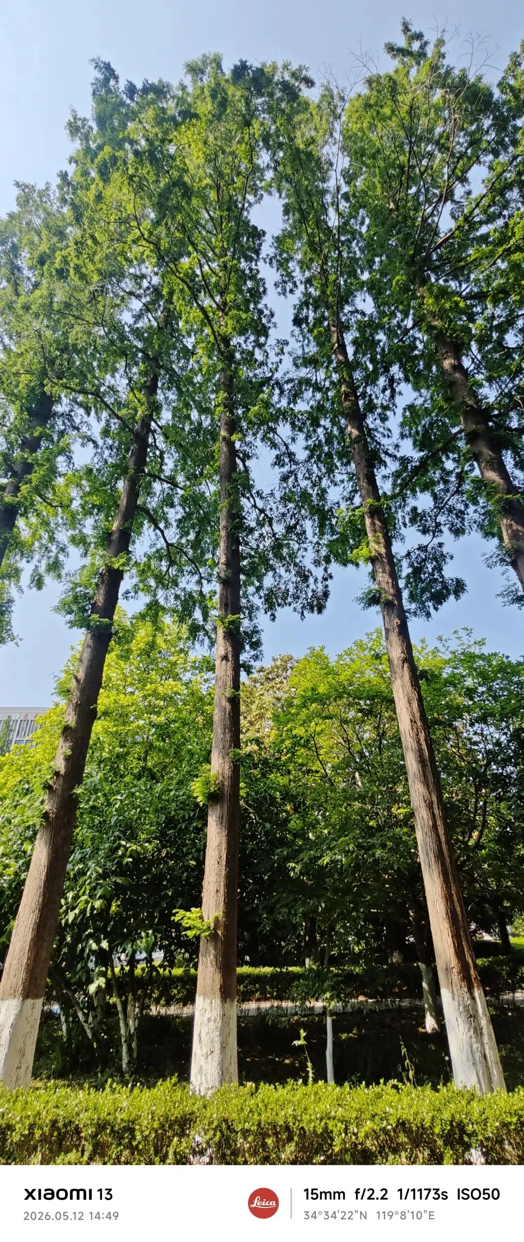 中考作文终极押题4篇:《那些灿烂的细节》《一波三折》《经历风雨铸就彩虹》《我的节奏》(附详解) 第10张