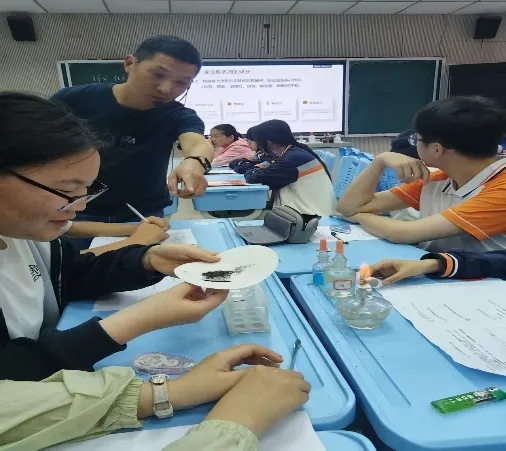 思维研讨促提升 批判赋能助中考 第4张 思维研讨促提升 批判赋能助中考 第4张