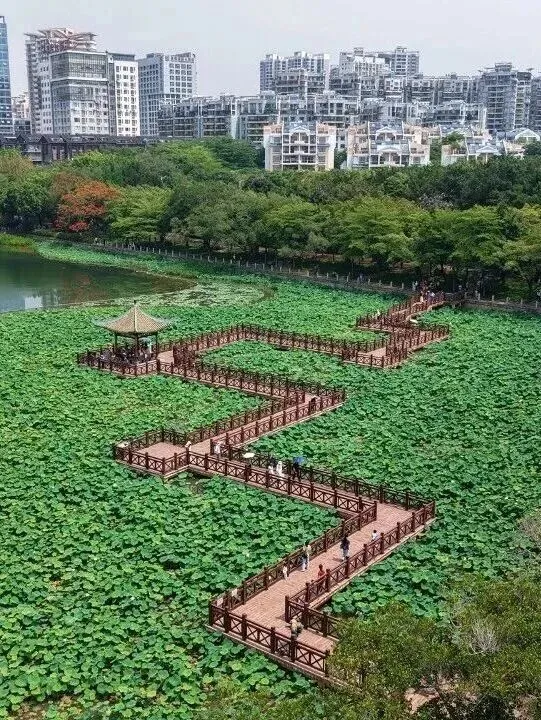 中考冲刺阶段全科复习建议 第5张