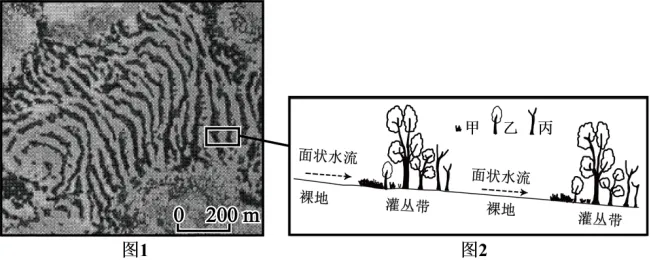 高考地理-地球地图与地球运动-高考一模真题汇编试题型答案考点分类解析练习备考二三冲刺 第34张