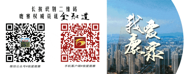 鹿寨县全面部署2026年高考、中考备考工作 第11张