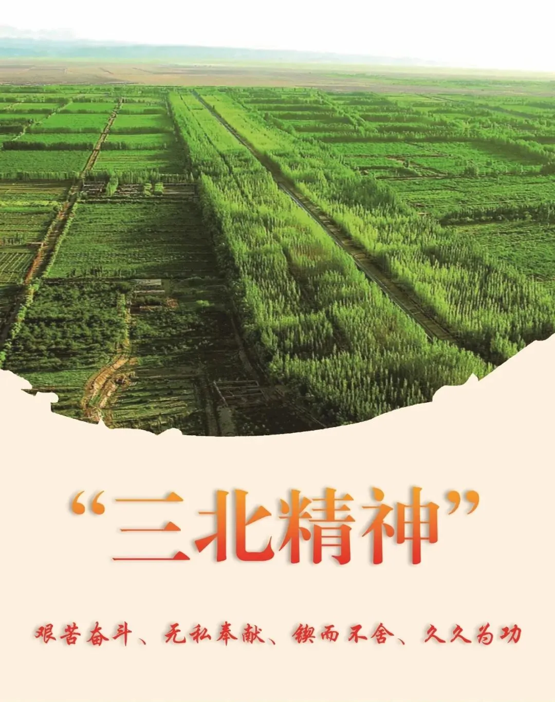精准调研明方向 凝心聚力备中考——青山区教育教学研究中心深入我校开展复习备考调研 第29张
