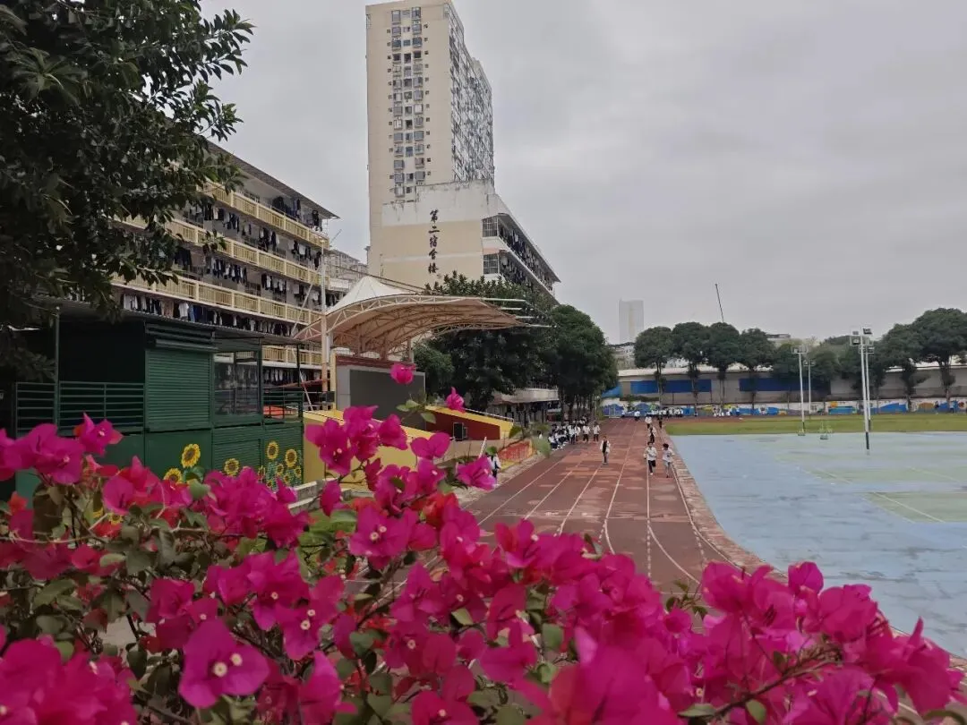 中考低分可读!广西工商学校,公办四星级,免学费+升学强 第2张