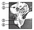 浙江中考科学生物部分怎么考? 第2张