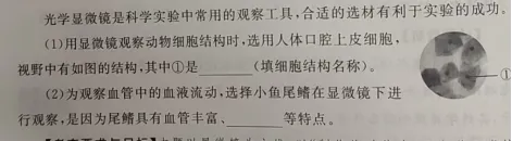 浙江中考科学生物部分怎么考? 第4张