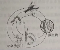 浙江中考科学生物部分怎么考? 第5张