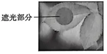 浙江中考科学生物部分怎么考? 第6张