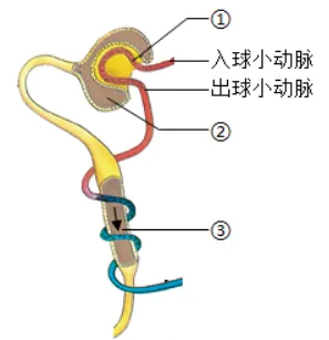 浙江中考科学生物部分怎么考? 第7张