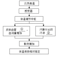 浙江中考科学生物部分怎么考? 第8张