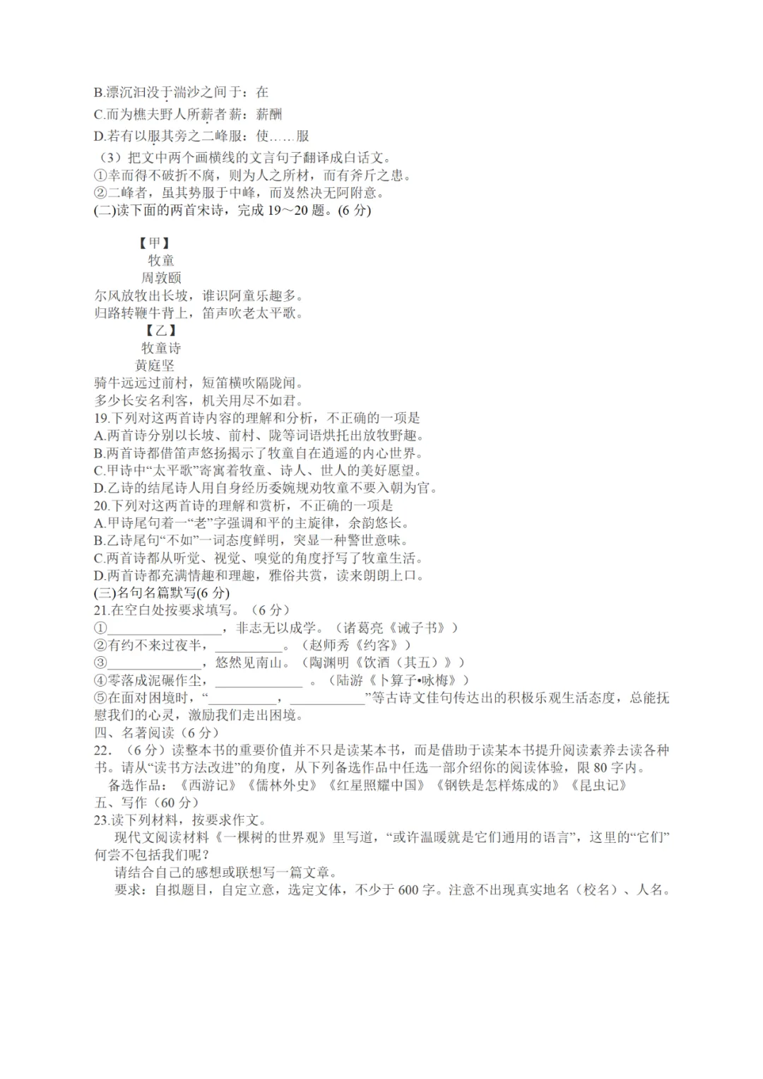 中考真题/四川省宜宾市2025年中考语文试题(含答案) 第7张