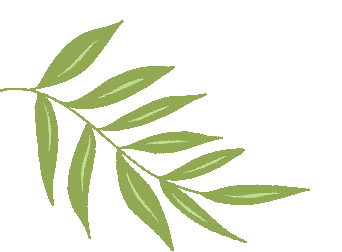 精研复盘明方向 凝心聚力备中考 —— 初三二检质量分析研讨会 第6张