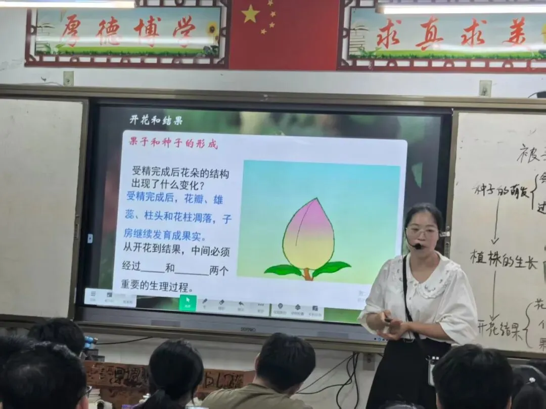 专家视导把准脉 中考冲刺再赋能——贺州市教育局2026年春季学期初中毕业班教学视导活动圆满结束 第14张 专家视导把准脉 中考冲刺再赋能——贺州市教育局2026年春季学期初中毕业班教学视导活动圆满结束 第14张