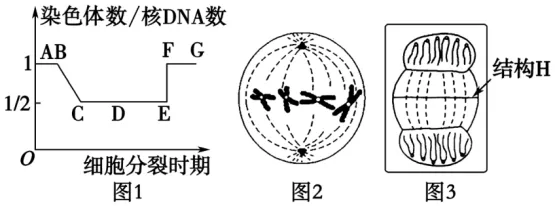 高二下期末-生物-细胞的生命历程真题汇编试卷考答案解析考点题型 第2张