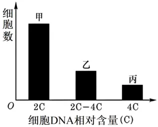高二下期末-生物-细胞的生命历程真题汇编试卷考答案解析考点题型 第8张