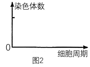 高二下期末-生物-细胞的生命历程真题汇编试卷考答案解析考点题型 第15张