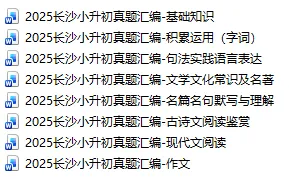 2025长沙小升初真题汇编-积累运用(字词) 第2张