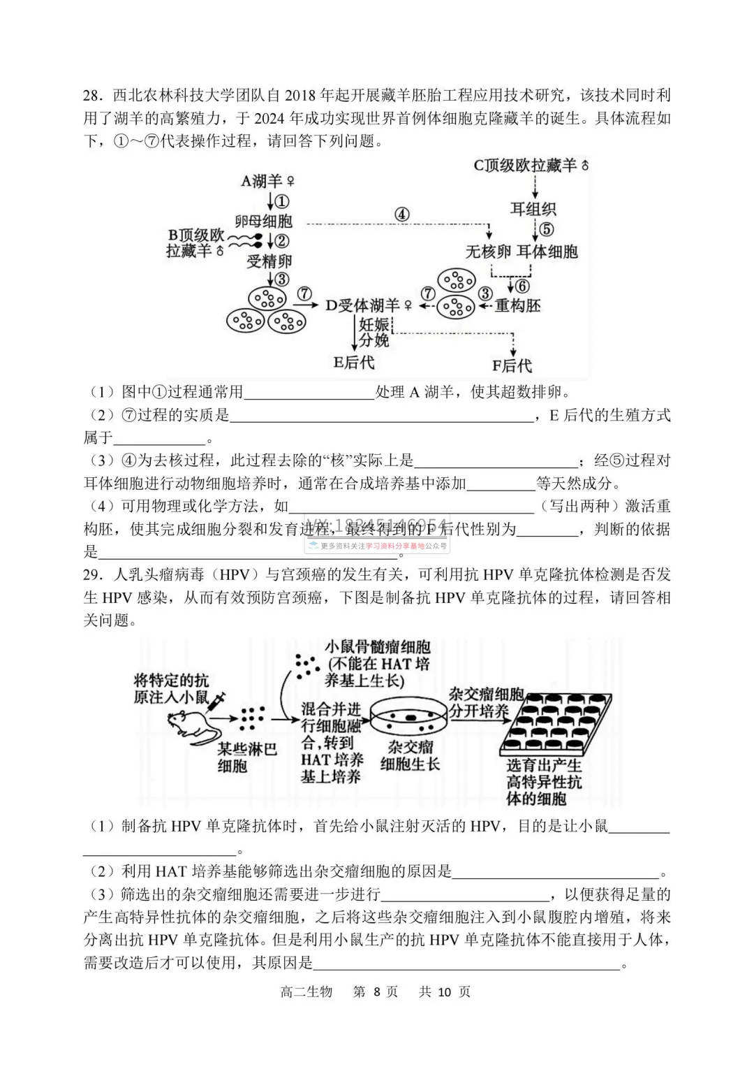 2026年哈三中高二下学期期中试卷及答案(九科全) 第49张