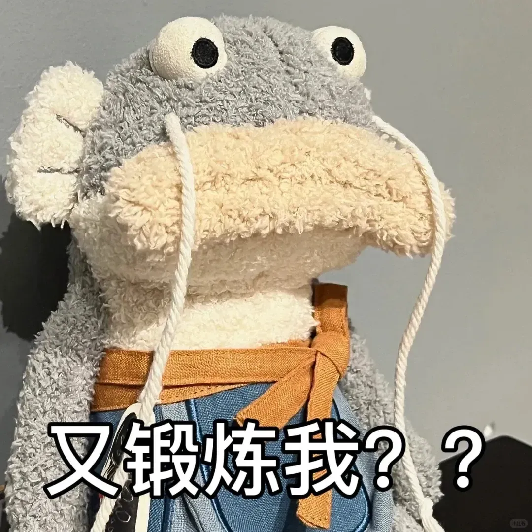 中考后赴澳留学:避开分流,机会反而更大/加拿大TOP3名校深度PK/ 雅思一次过的人,都做对了什么? 第22张
