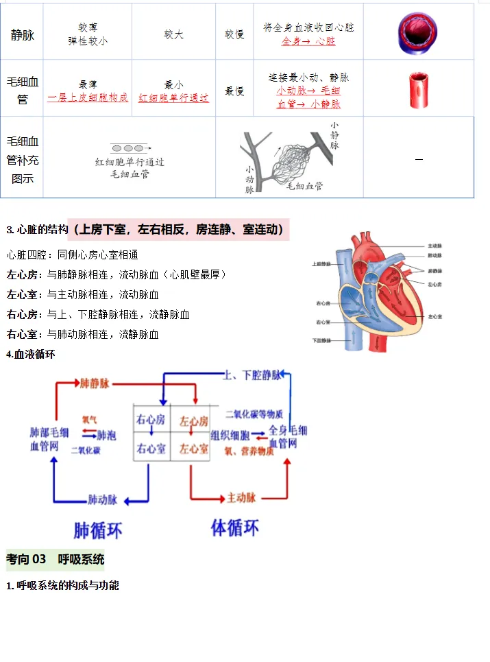 2026年中考地理、化学、生物、历史考前最后冲刺,热点+预测+答题技巧等,冲刺! 第26张