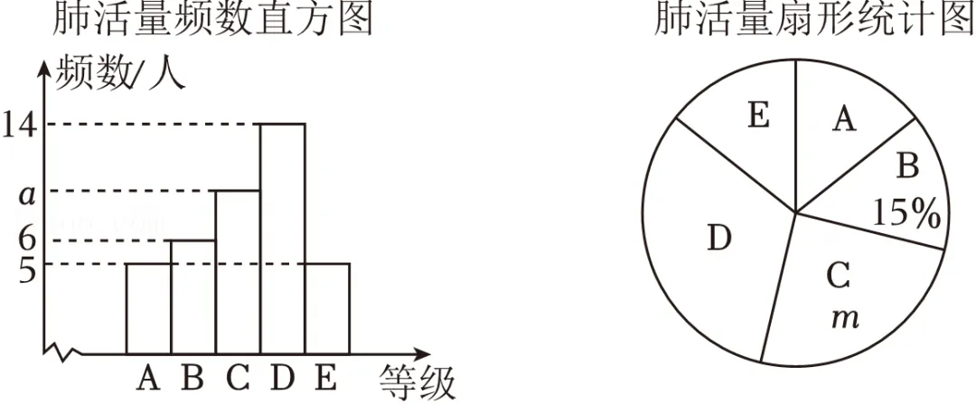 2026年安徽省芜湖市无为市部分学校中考数学二模试卷 第32张 2026年安徽省芜湖市无为市部分学校中考数学二模试卷 第32张