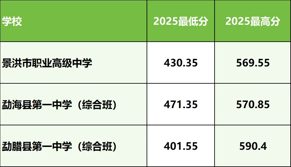 2026年西双版纳州中考志愿填报指南:分数段如何精准选学校? 第9张