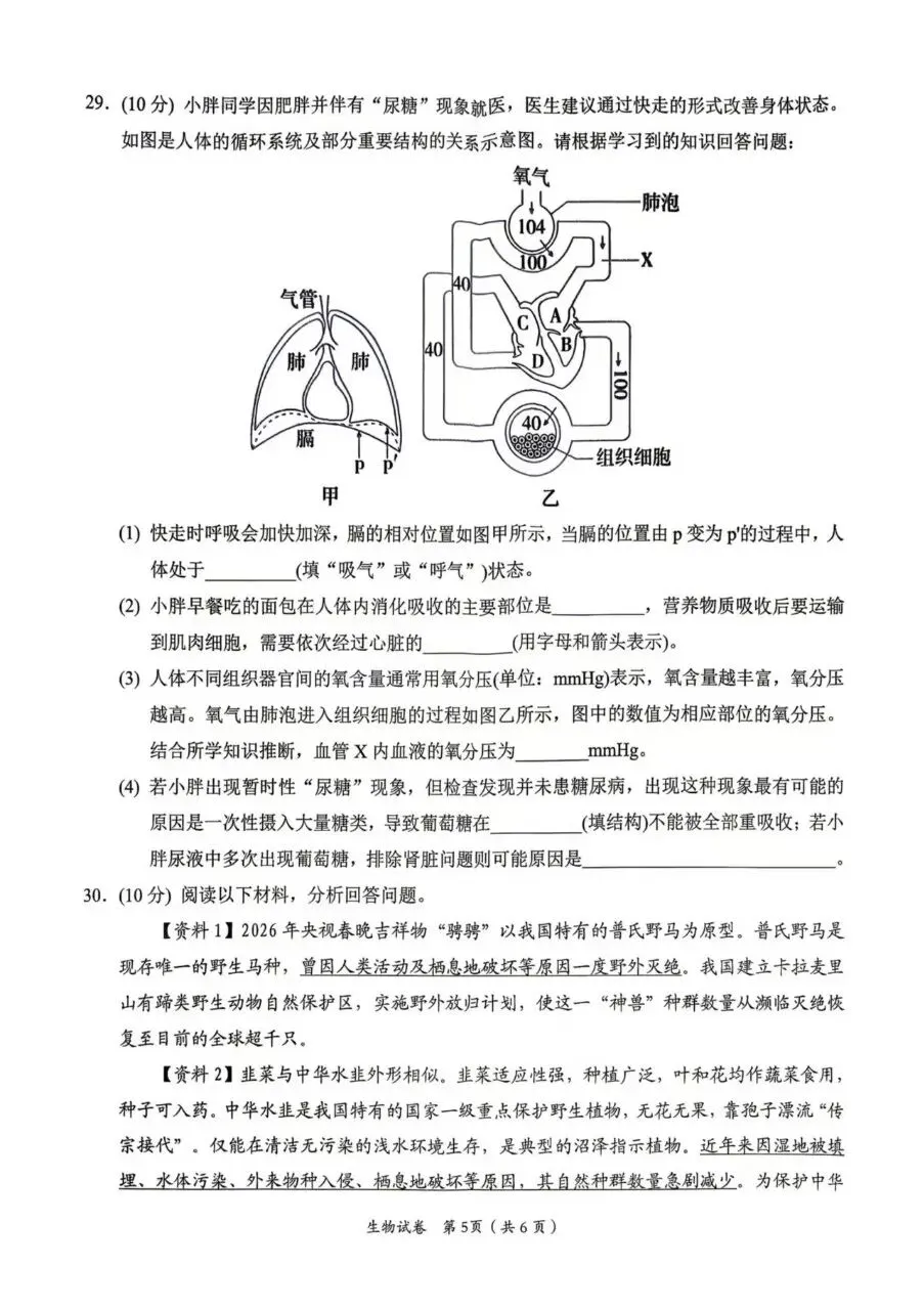 复习练手 ︳2026年湖南省初中学业水平考试模拟试卷生物学 (七) 第5张
