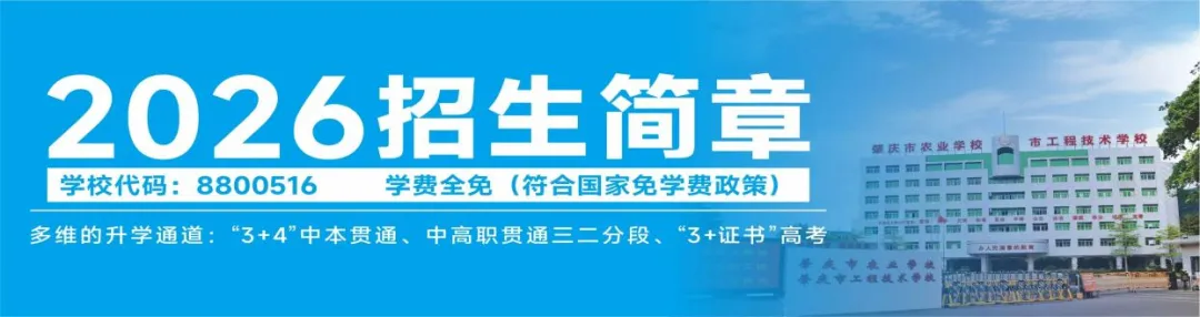 逐梦中考·职引未来丨我校举办肇庆市2026年中考志愿填报公益讲座 第7张