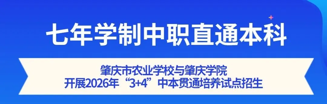逐梦中考·职引未来丨我校举办肇庆市2026年中考志愿填报公益讲座 第8张
