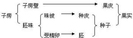2026年中考科学核心易错点 第1张 2026年中考科学核心易错点 第1张