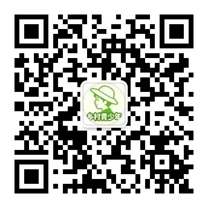 中考分流:乡村孩子的路,从不是“选A或选B”这么简单 第12张 中考分流:乡村孩子的路,从不是“选A或选B”这么简单 第12张