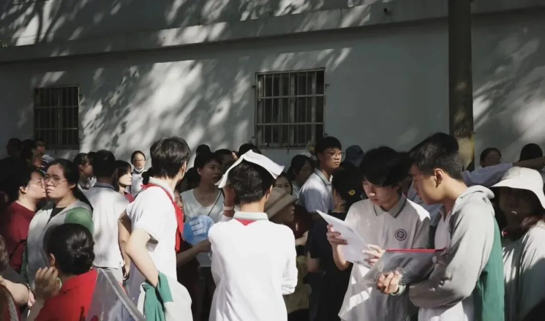 2026云南中考|多元升学路,选择比努力更重要! 第2张