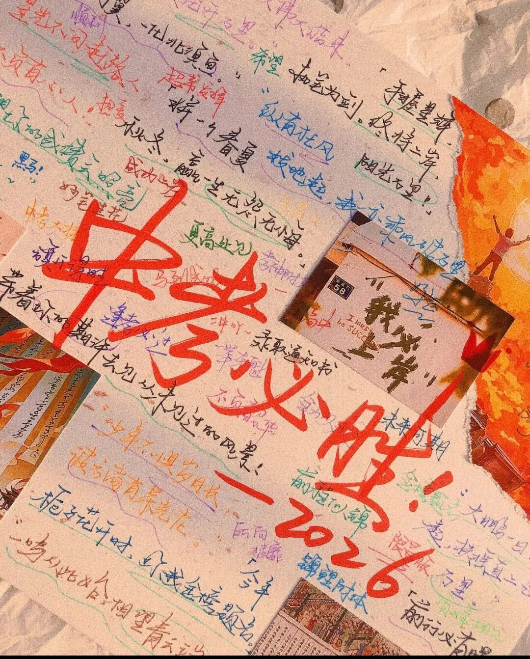 2026云南中考|多元升学路,选择比努力更重要! 第4张