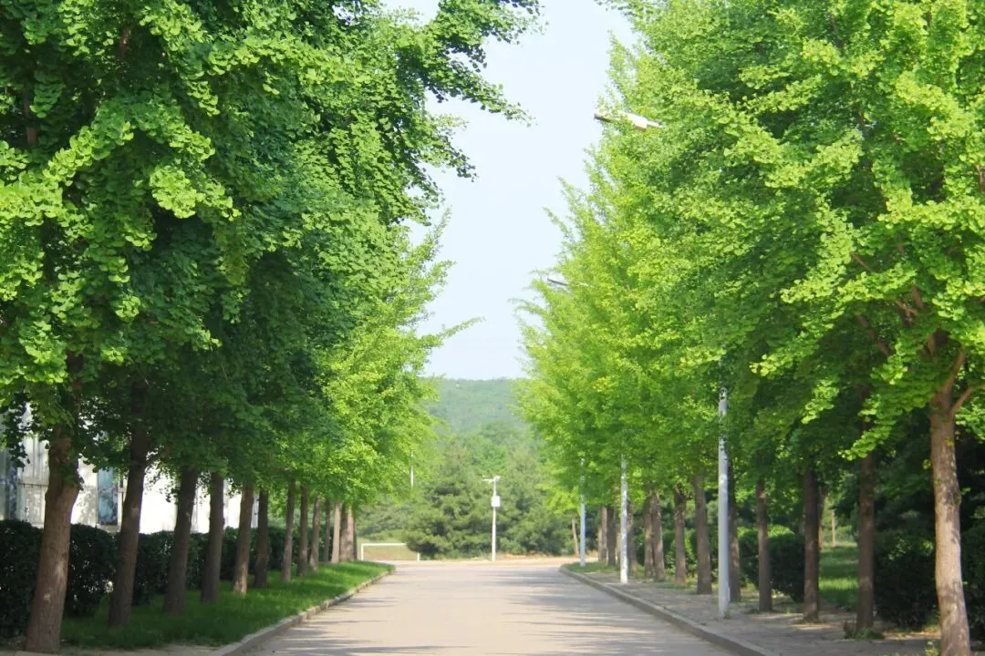 衡水名师领航 中考智信攻略——邢台智信中学5月30日校园开放日邀请您来访! 第15张
