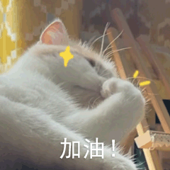 二模之后的中考冲刺策略 第19张
