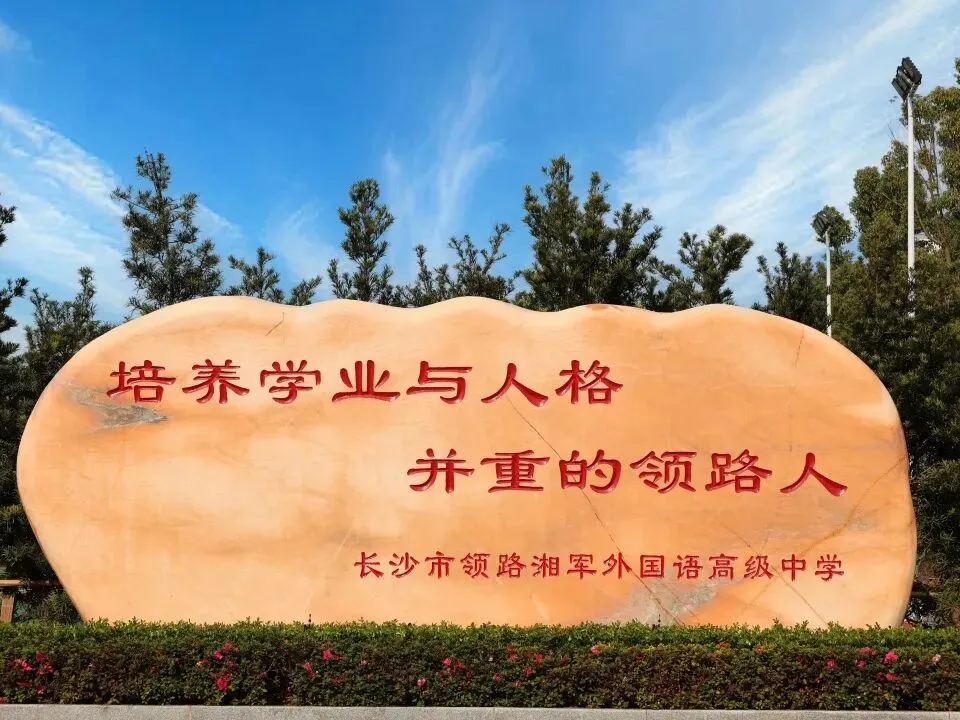中考作文总是拿不到高分?明天,原长郡名师王层林面对面教你破局! 第16张