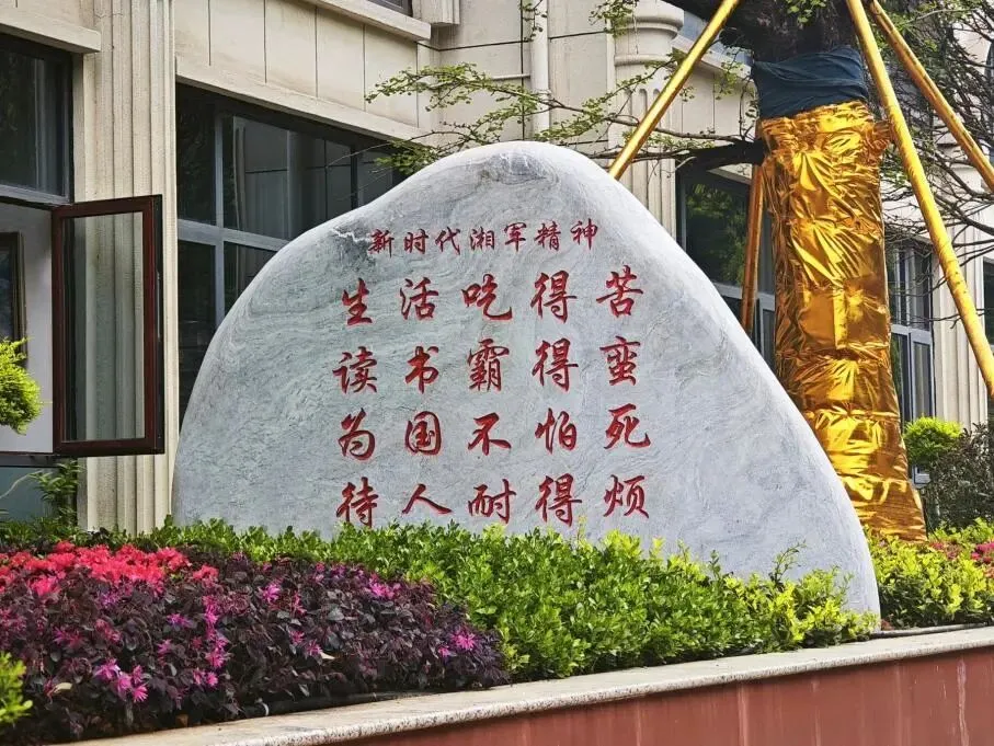 中考作文总是拿不到高分?明天,原长郡名师王层林面对面教你破局! 第21张 中考作文总是拿不到高分?明天,原长郡名师王层林面对面教你破局! 第21张