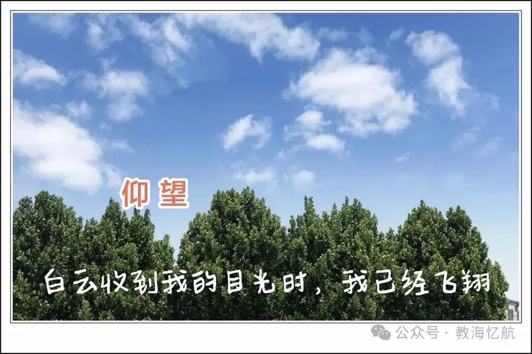 作文指南/石德平:中考作文考前指导建议(2)-第2张图片-四季读书网