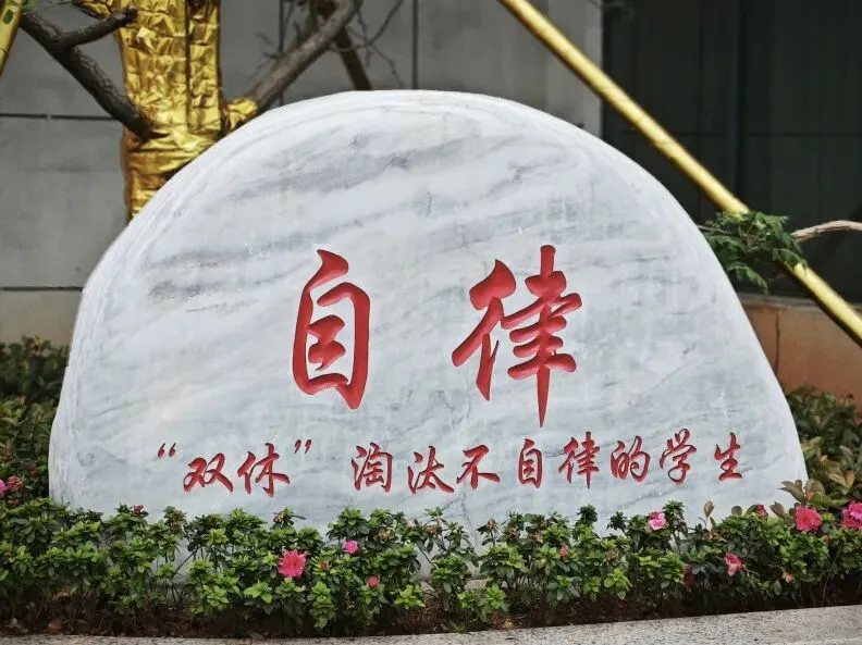 中考作文总是拿不到高分?明天,原长郡名师王层林面对面教你破局! 第18张 中考作文总是拿不到高分?明天,原长郡名师王层林面对面教你破局! 第18张