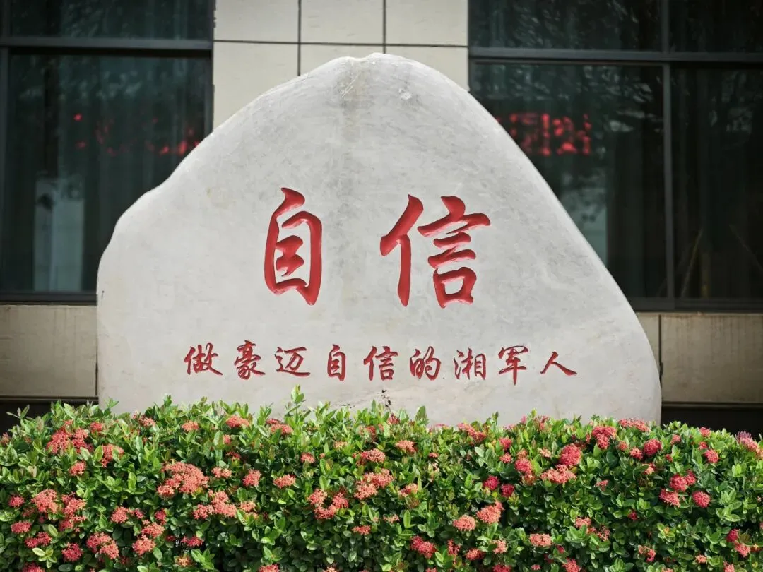 中考作文总是拿不到高分?明天,原长郡名师王层林面对面教你破局! 第20张 中考作文总是拿不到高分?明天,原长郡名师王层林面对面教你破局! 第20张