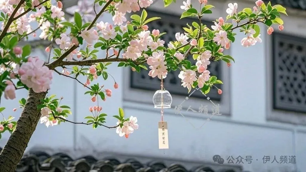2026中考语文模拟试卷及参考答案(38)【可打印】 第13张 2026中考语文模拟试卷及参考答案(38)【可打印】 第13张